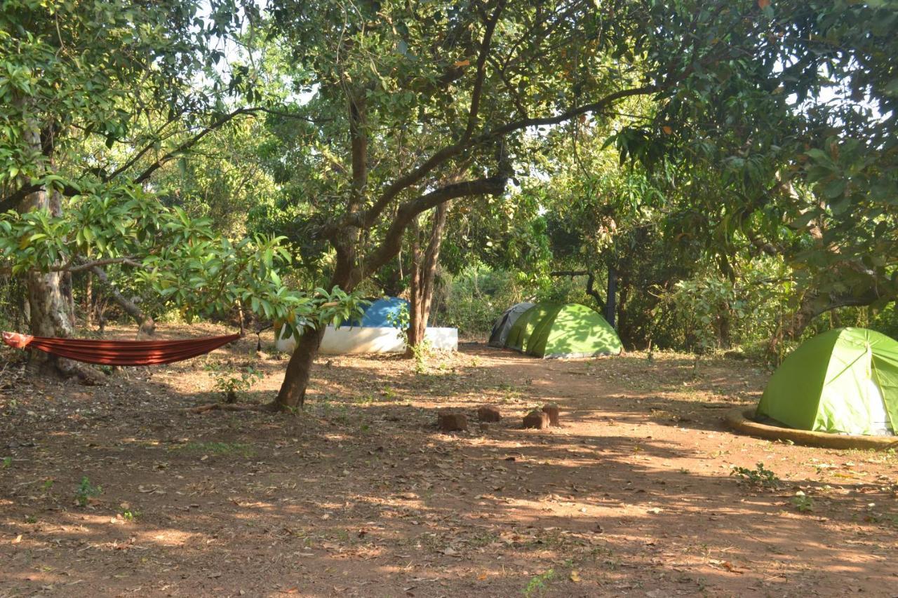 אנג'ונה The Nest By Hostelogy מראה חיצוני תמונה